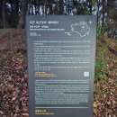 독산성 음식문화거리 | 특별봄꽃탐방_오산_독산성과 세마지대+독산성 음식문화거리