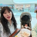 스테프핫도그안성스타필드 이미지