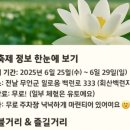 2025 댕글댕글 캠프닉 이미지