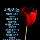 사랑그리고 이미지