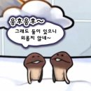 마 쯔 | From KF to WF MOST WANTED Archive. 1 The Glow