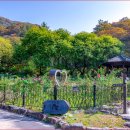 대아수목원&대아호 티스토리