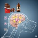 약물중독의 바른 이해 - 알코올 & 카페인 | 강아지 발작과 실신 구분과 원인분석과 해결 방안(긴글 주의)
