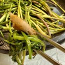 향촌 | [향촌]양산 향촌 원동미나리 후기