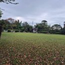 신평남부길 이미지