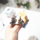 레체식빵