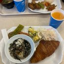 윤카센타 | 겨울이면 생각날거야 삿포로여행 2일차.비에이 렌트여행.다이마루.크리스마스 나무. 비에이숙소 톰테룸