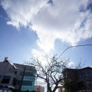 문형행가옥 이미지