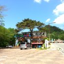 오색산나물