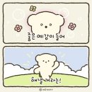 좋은예감 브런치