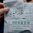 새론동물병원 이미지