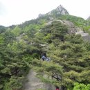 대병중학교 | 황매산 /경남 합천, 산청