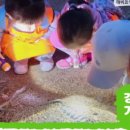 레이저아레나 - 마포구 와우산로 111 | 레이저아레나