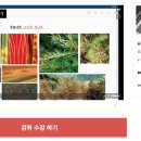해피트리기술학원