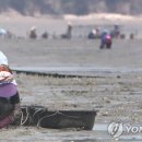 자란만식품 이미지
