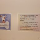 댕굴댕굴 이미지