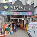 진아네 이미지