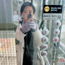 블리스 피티 엔 필라테스 스튜디오 | 피부과 코어스컬프 허벅지 뒷벅지 셀룰라이트 - 압구정다이어트 관리후기(당일/일주일/회복기간/전후사진)