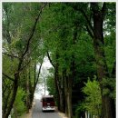 원당목장 이미지