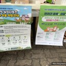 데려가시개 이미지