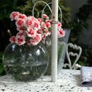 세라의 작은정원 이미지