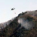 정부경북지방합동청사 앞 이미지