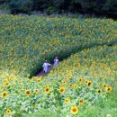 인제IC펜션 이미지