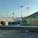 833 | 인천 <-> 선양(심양) 대한항공 KE833, KE834 이코노미 탑승 후기