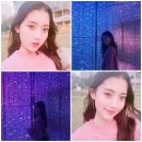 정다빈 카카오 검색결과