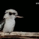 동명 전문요양원 이미지