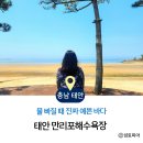 태안 만리포 물때 보고 만리포해수욕장 가야 하는 이유