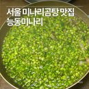 서울곰탕 | 서울 성수 맛집/ 미나리곰탕/ 능동미나리 후기