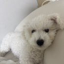 강정아미용실
