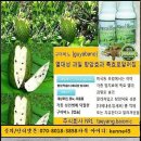 신이주신선물 모링가[말룽가이]구야바노[그라비올라]암팔라야[여주] 이미지