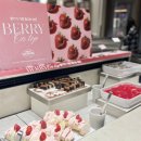 아동요리B | [애슐리 딸기축제 2026 기간] 가산 애슐리퀸즈 딸기 무제한 뷔페 후기