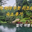 루비아가구 | 딸과 함께한 예술과 힐링의 도시 발리 우붓 여행기 5편｜마야 우붓 리조트 숙박기｜정글 속 비밀 휴식처...