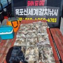 신세계 | 목포 갑오징어 선상 낚시 독배 출조 후기 with 신세계