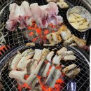 23년도 마지막 일기