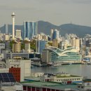 천마산10리길 이미지