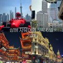 꿀떡노래광장 | [상해 자유여행 2일차(5)] 난징동루 쇼핑ㅣ북와이탄 공원 산책ㅣ와이탄 야경ㅣ돼지파티(지엔빙, DQ...