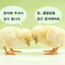 '경기 북부모임' 우정 만찬장, ~후기~ 이미지