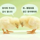 2022-주184 이미지