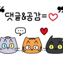 소요육면가 이미지