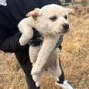 쉬미항로 이미지