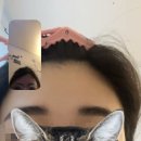 창스마켓 이미지