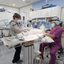 서울동물복지지원센터 동물병원 이미지