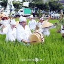 용전마을 입구 이미지