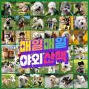 (주)스타몽 이미지