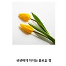 리치미용실 이미지