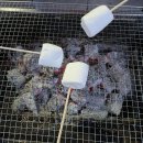 오투펜션민박 | [단양숙박_오투펜션]계속바로앞/바베큐/1층_별헤는밤